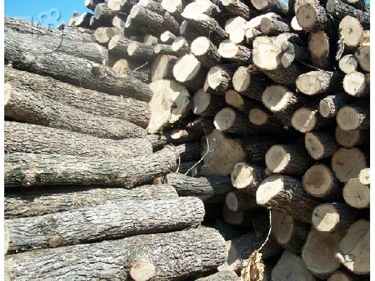 Ξυλόσομπες Ενεργειακά Τζάκια Λέβητες Πέλλετ